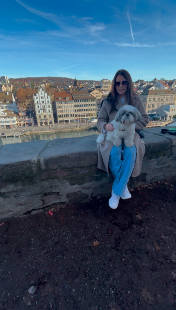 Dog walking along river Zurich winter