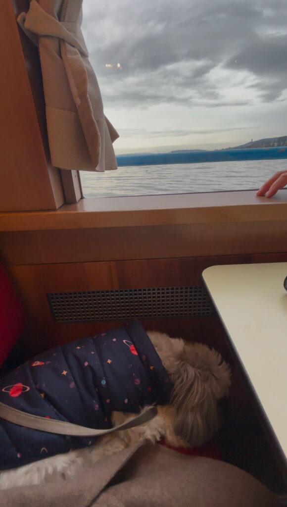 lake Zurich cruise dog friendly