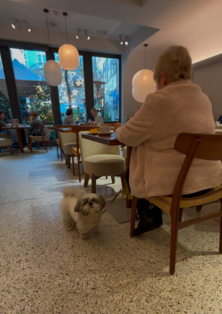 Sorell Boutique-Hotel Seidenhof Zürich enja restaurant dog friendly review