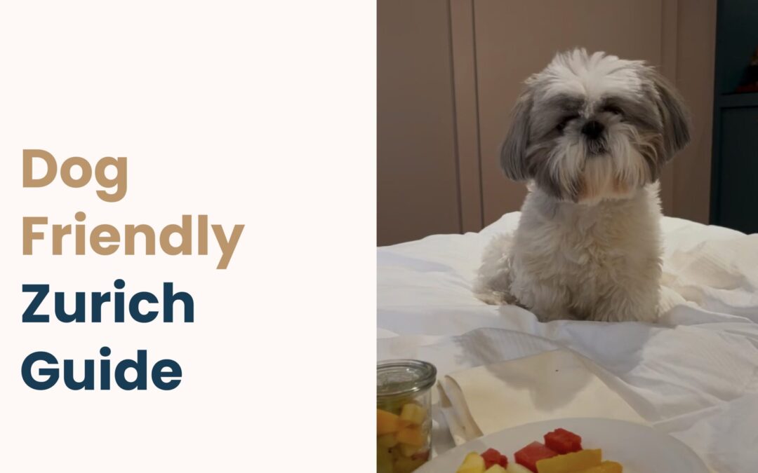The Ultimate Guide to Dog-Friendly Zurich in Winter: Markets, Lake Views and Luxury Stays