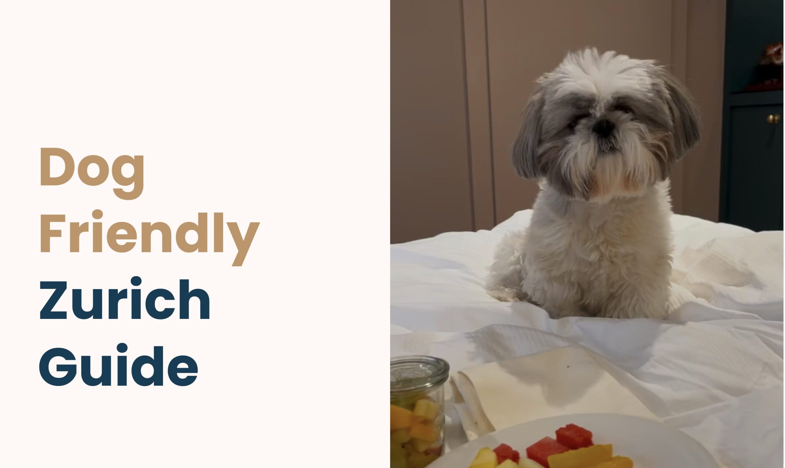 dog friendly Zurich guide