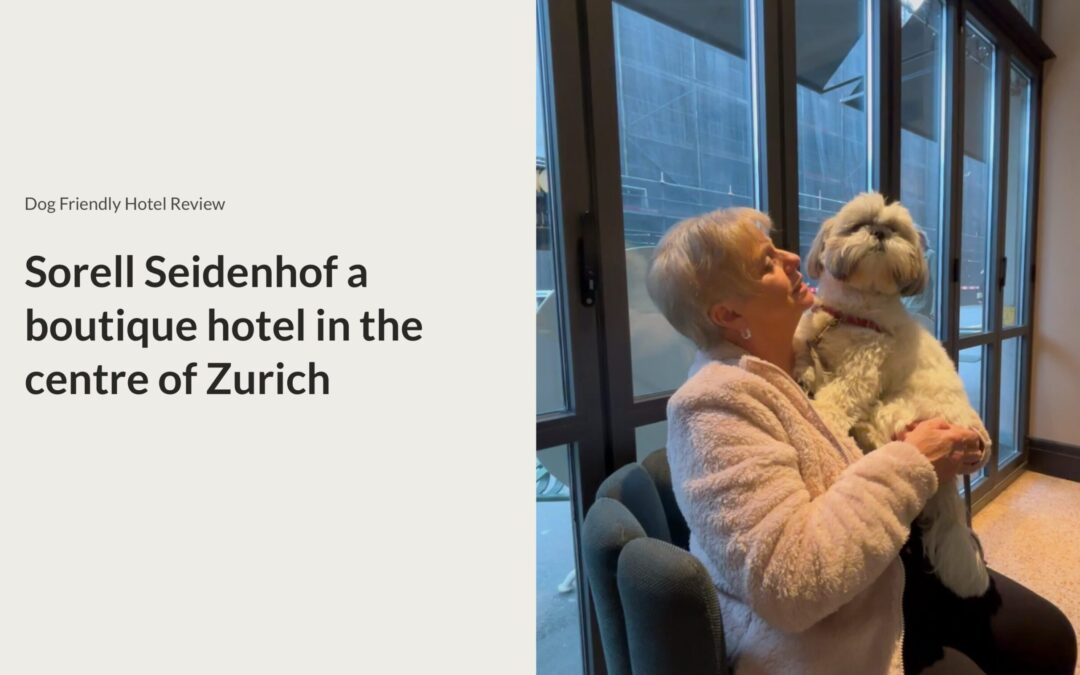 Sorell Boutique-Hotel Seidenhof Zurich Review: A Pet-Friendly Winter City Break Done Right