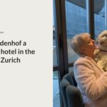 dog friendly hotel review Zurich