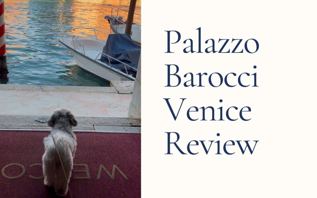 Palazzo Barocci Venice: Dog-Friendly Hotel Review on the Grand Canal