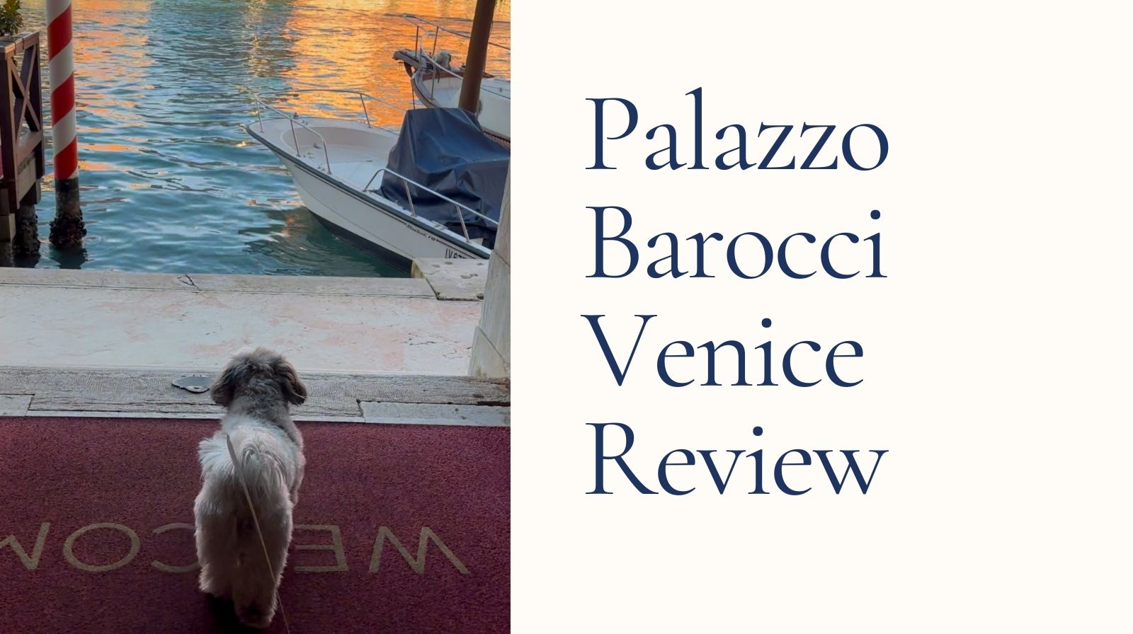 Palazzo Barocci Venice dog friendly hotel review