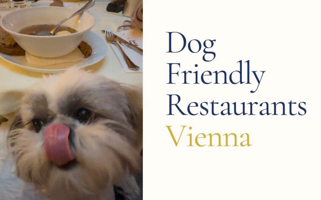 Dog-Friendly Vienna Restaurants We Tried