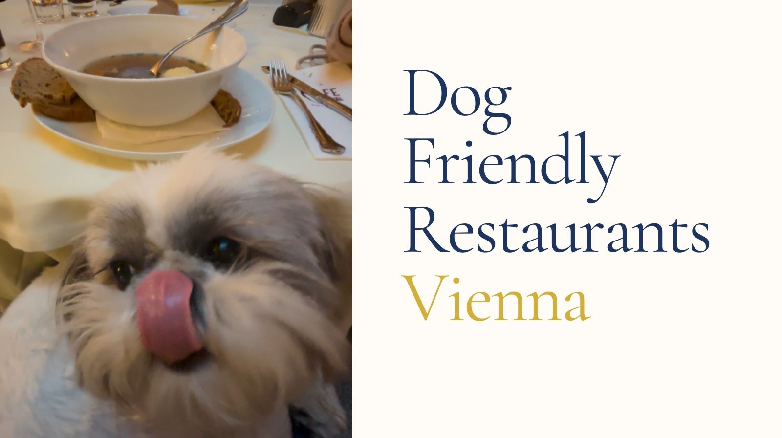 Dog friendly restaurants Vienna