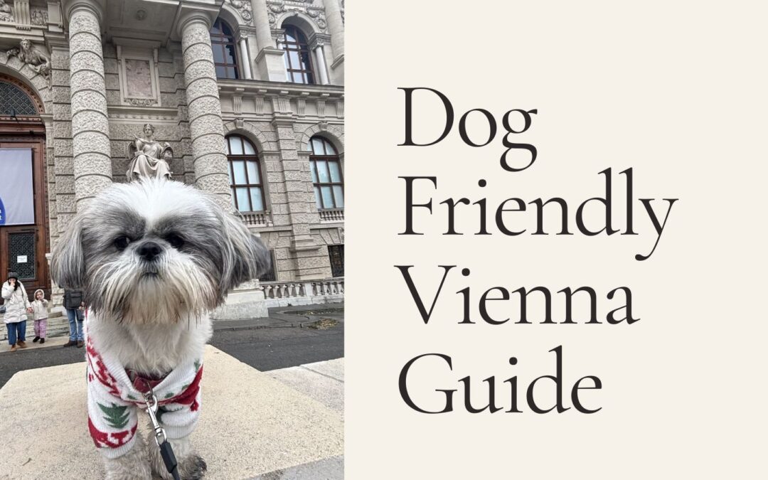 Dog-Friendly Vienna with Daisy, Highlights and Markets