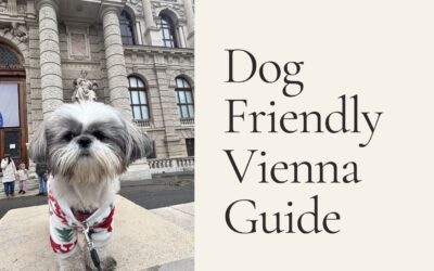 Dog-Friendly Vienna with Daisy, Highlights and Markets