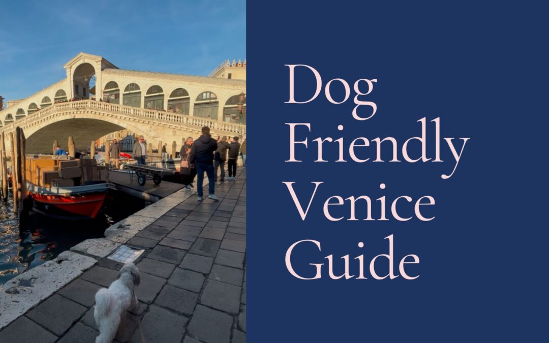 Dog-Friendly Venice Guide with Daisy