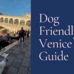 Dog Friendly Venice Guide