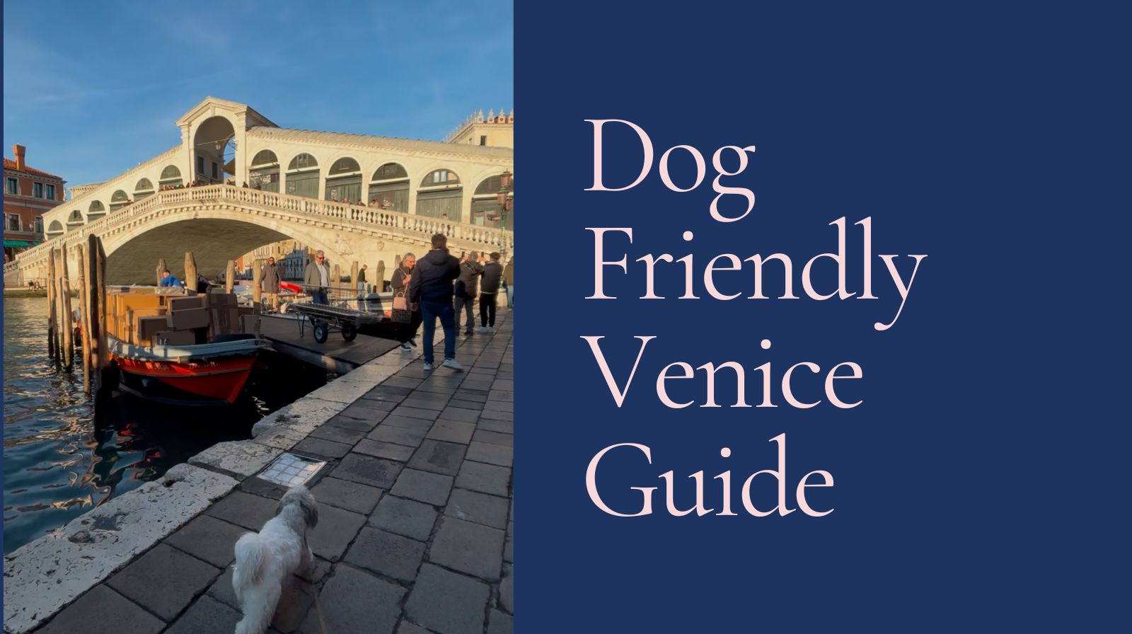Dog Friendly Venice Guide