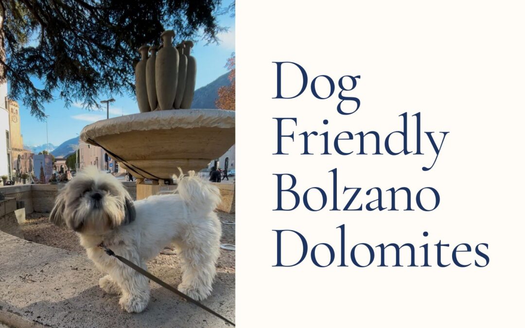 Dog-Friendly Bolzano and the Dolomites Day Trip from Venice
