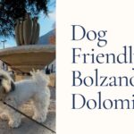 dog friendly day trip from Venice to Bolzano