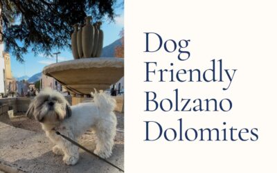 Dog-Friendly Bolzano and the Dolomites Day Trip from Venice
