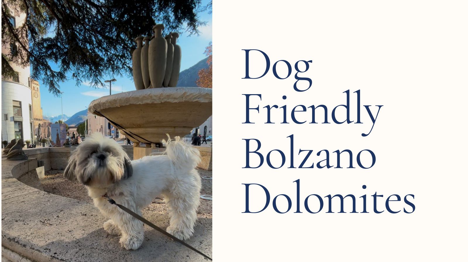 dog friendly day trip from Venice to Bolzano