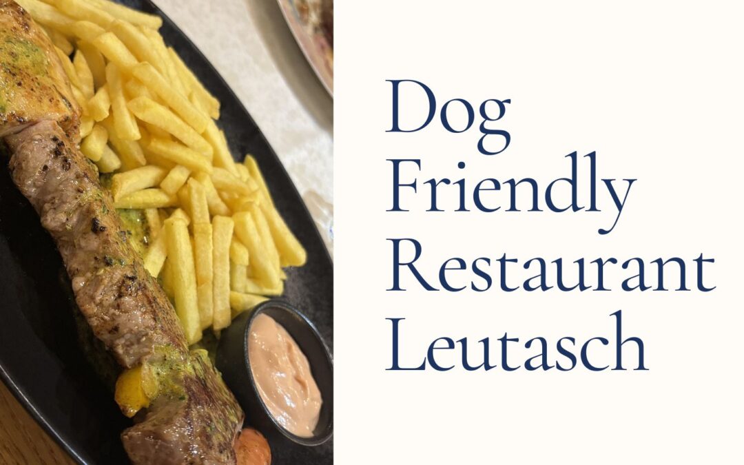 Weidachstube Neuner Leutasch, a Dog-Friendly Restaurant Review