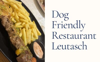 Weidachstube Neuner Leutasch, a Dog-Friendly Restaurant Review