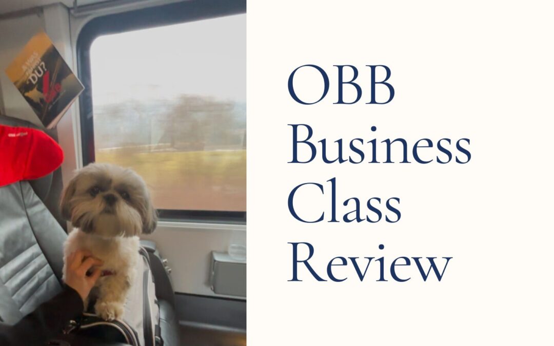 OBB Business Class. Is the Upgrade Worth It? | Travel with Your Dog