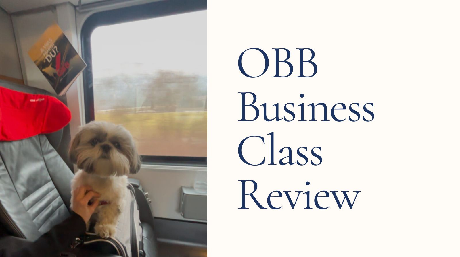 OBB Business Class Review OBB Business Class Review