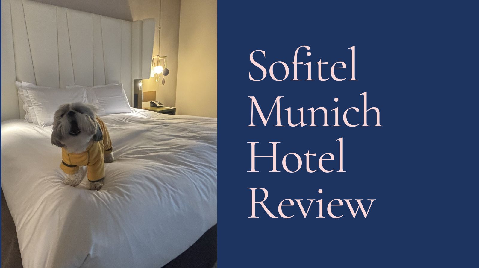 sofitel munich hotel dog friendly
