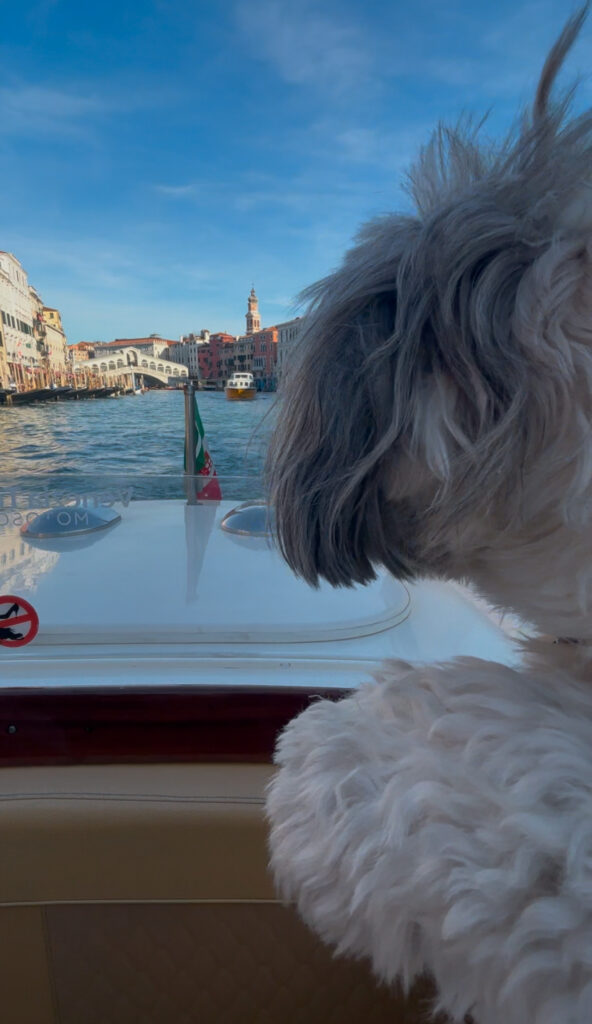 Arriving by water taxi Venice Hotel Barocci