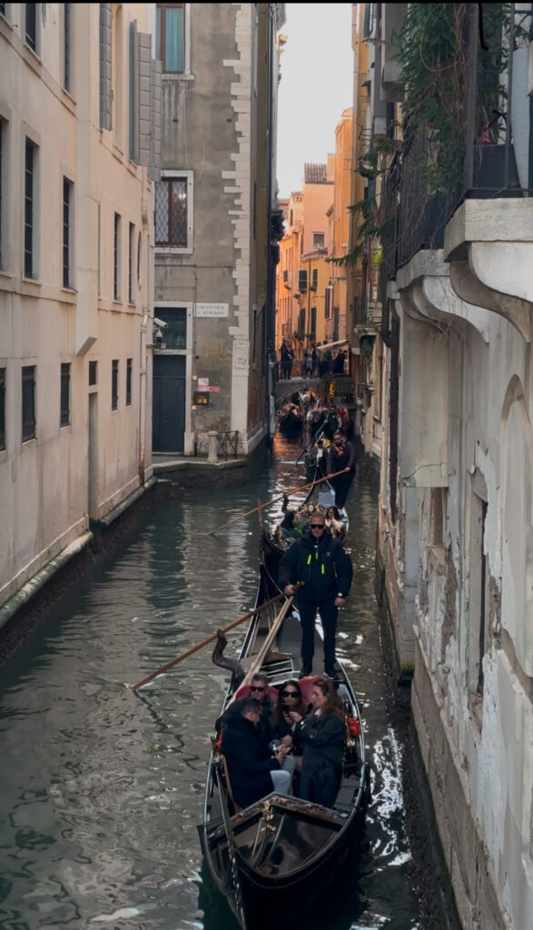 venice dog friendly Rialto bridge