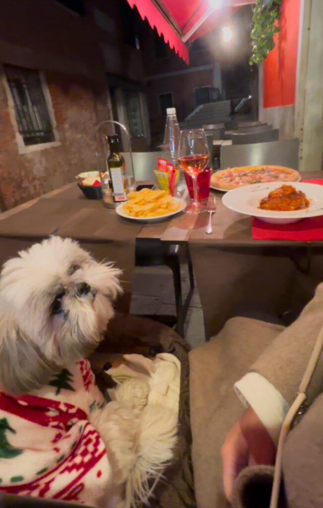 dog friendly dining Venice