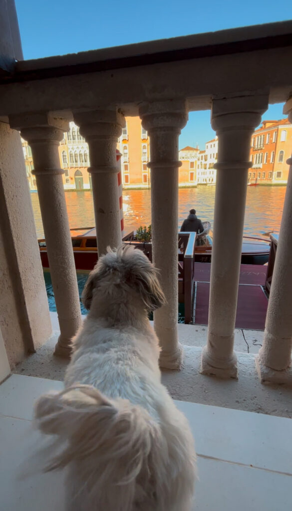 view hotel room Barocci Venice