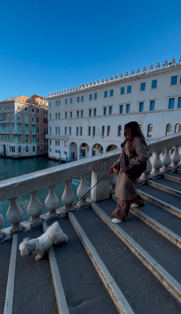 venice Rialto bridge dog friendly