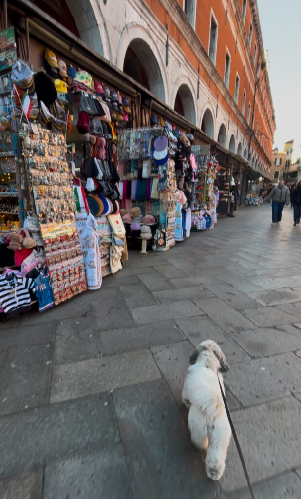 venice dog friendly market