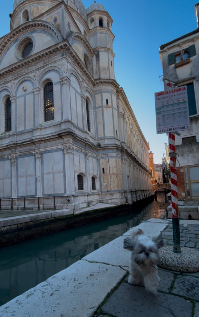 venice dog friendly canal