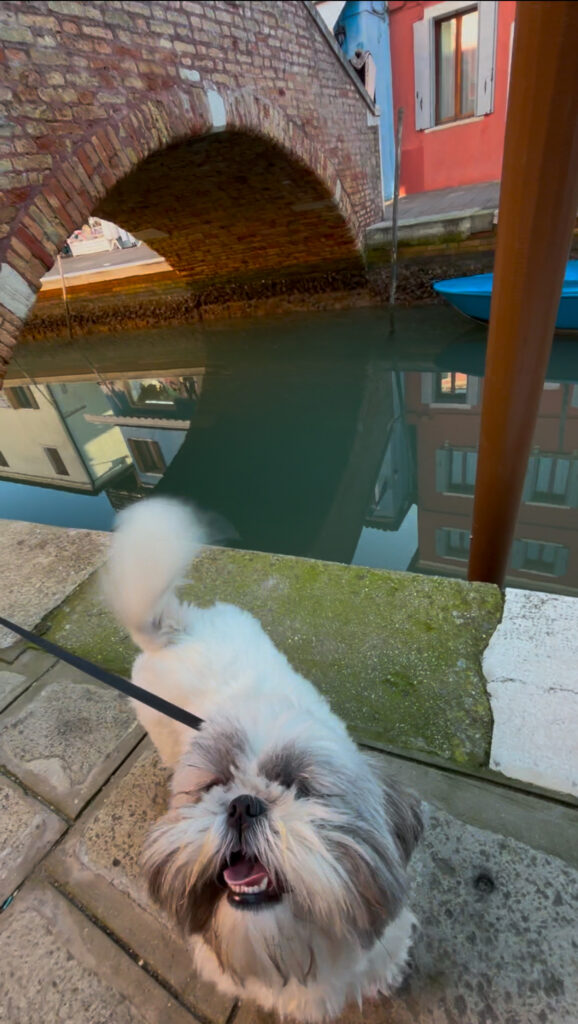 Burano dog friendly 3 day trip venice