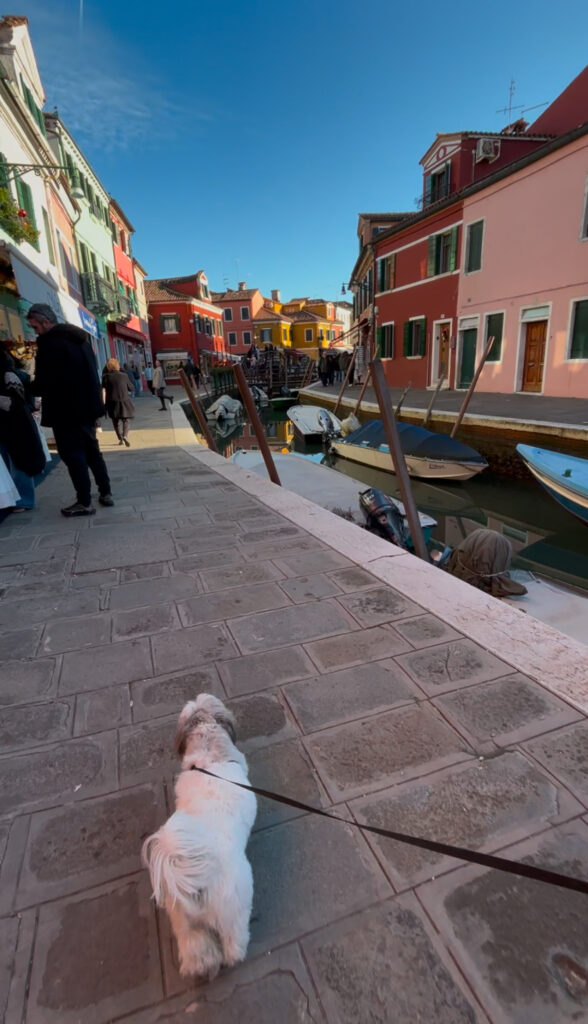 burano colourful buildings canal