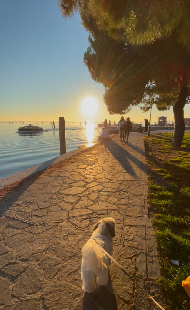 Burano sunset dog friendly