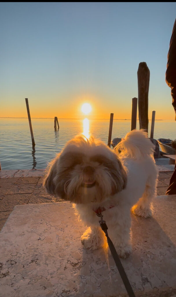 Burano with dog sunset