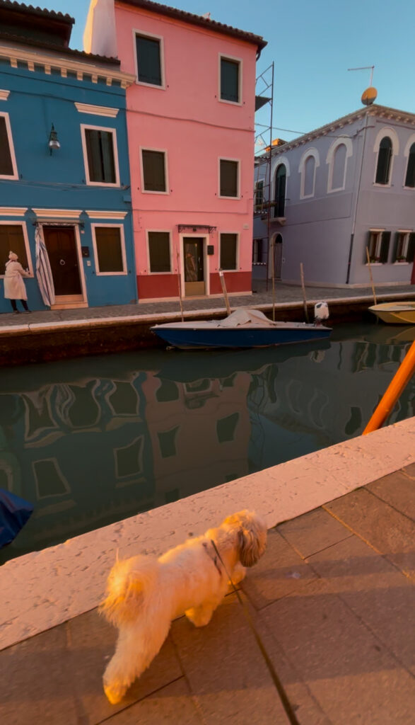 Burano sunset dog friendly