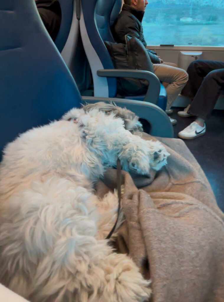 Arriving Bolzano on train