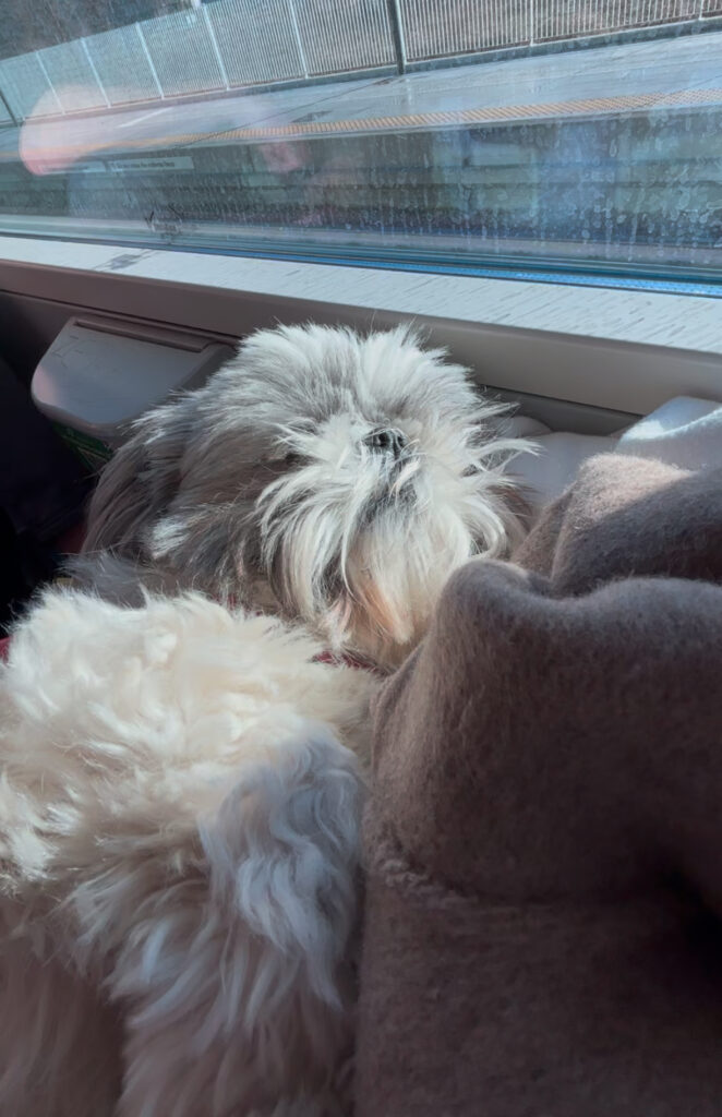 Arriving Bolzano on train 