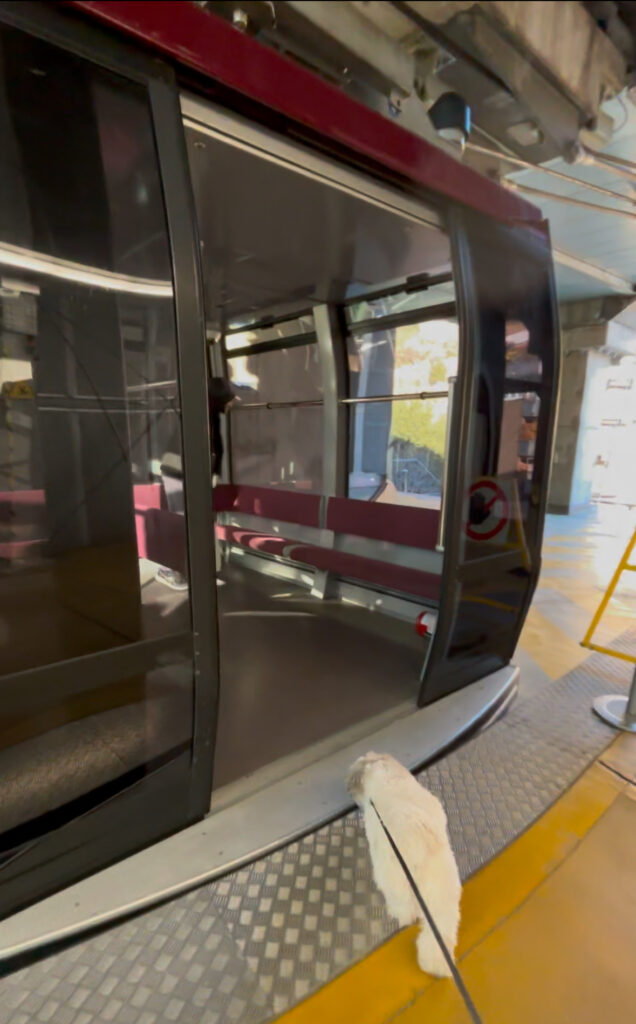 Cable car Bolzano Dolomites dog friendly 