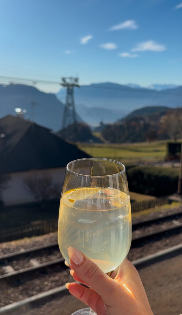 Restaurant & Bar dog friendly Bar Café Fink