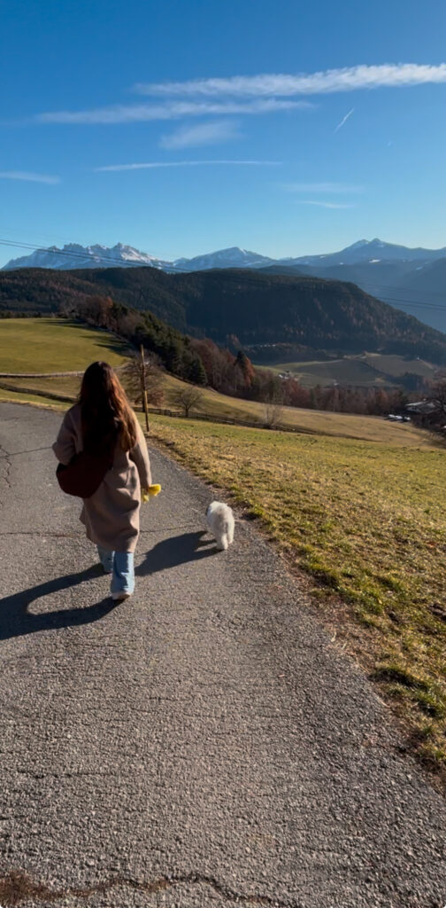 Walking Dolomites dog friendly 