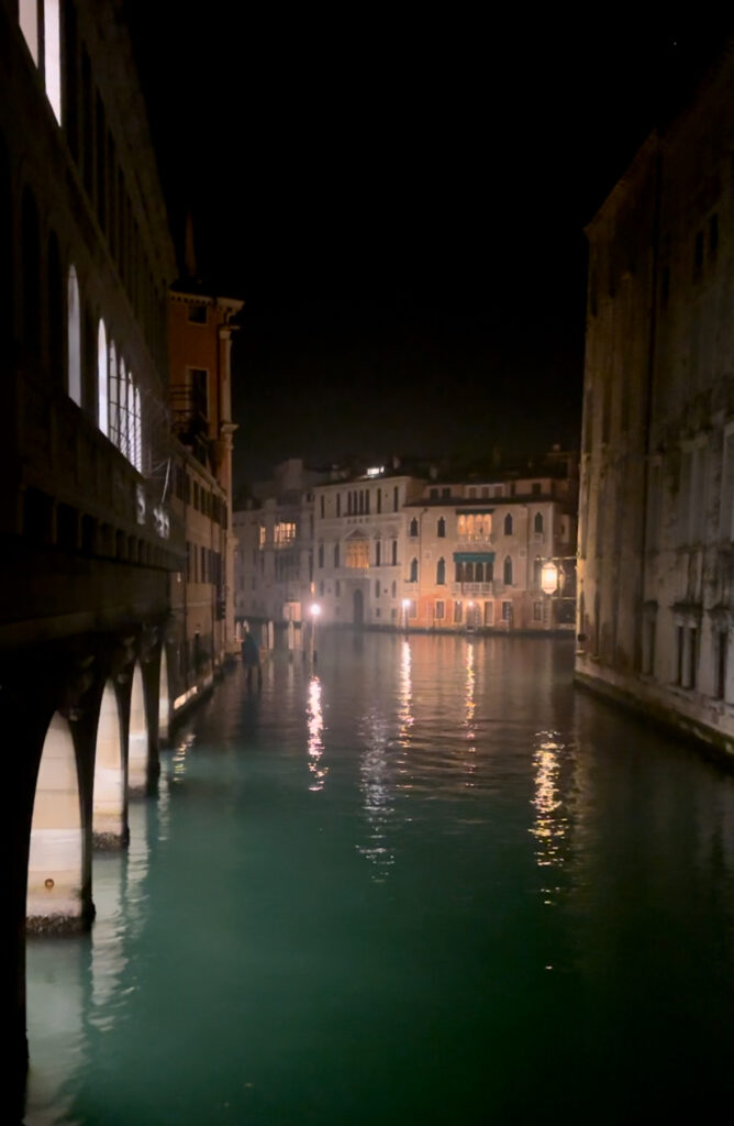 Venice Castello district evening Christmas lights dog-friendly walk