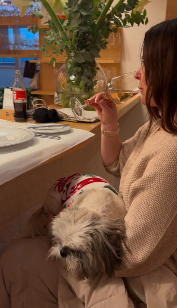 Plachutta zur Oper Vienna schnitzel, dog-friendly restaurant near Vienna Opera