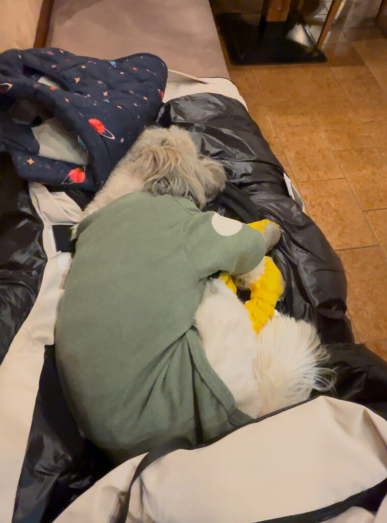 Weidachstube Neuner restaurant review dog friendly