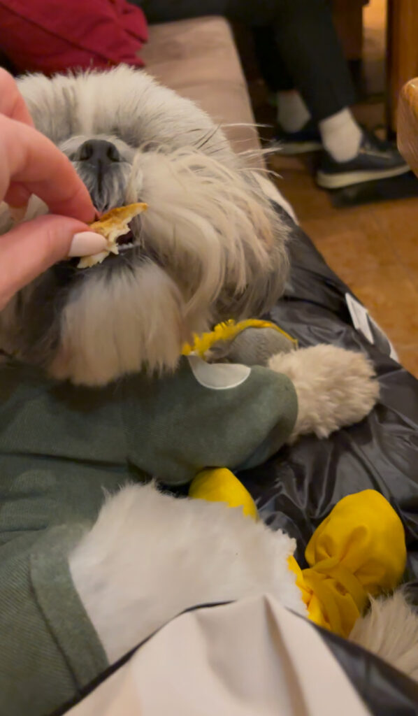 Weidachstube Neuner restaurant review dog friendly