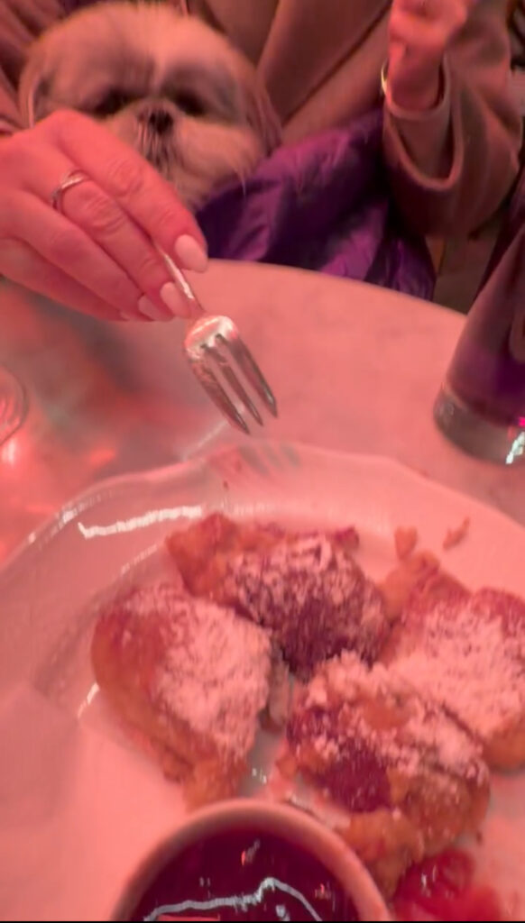 Zum Schwarzen Kameel