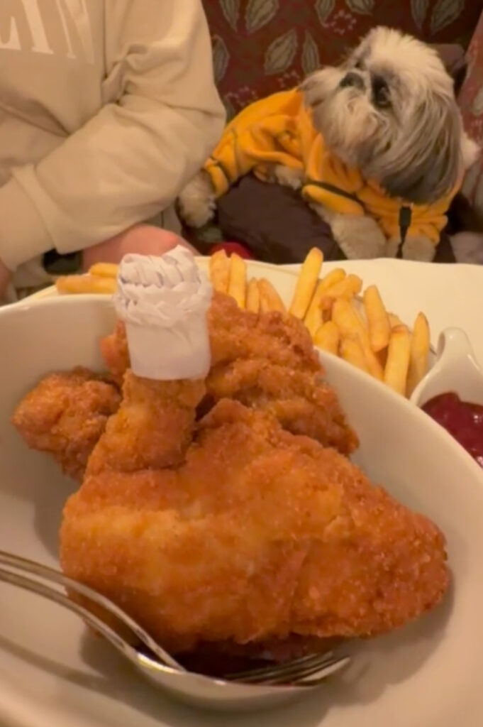  Café Landtmann Vienna, pet-friendly café on the Ringstrasse