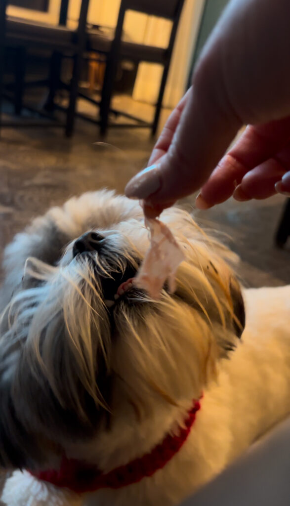 Dining at DÉLiCE La Brasserie dog friendly restaurant Munich