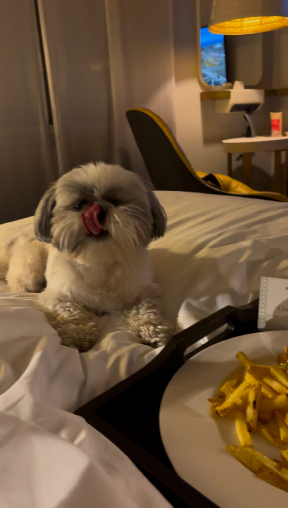 room service Sofitel Munich